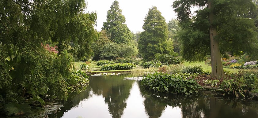 Essex Gardens: Beth Chatto Gardens